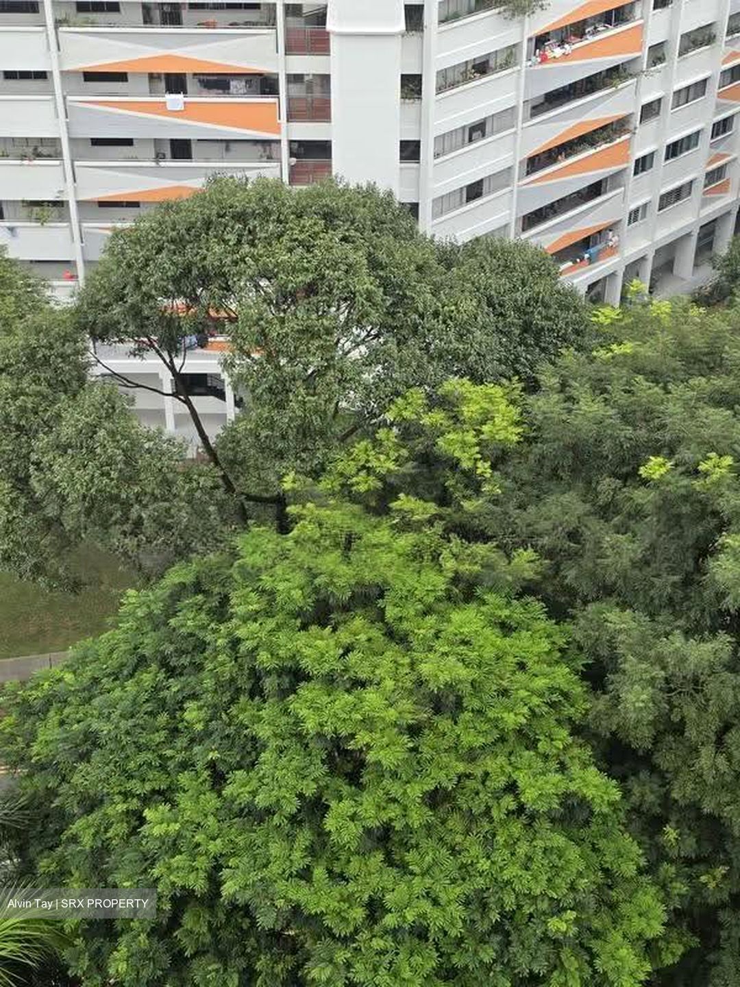 Regent Heights (D23), Condominium #633312911